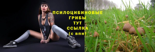 бутират Алексеевка