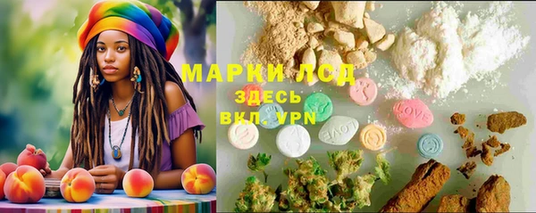 винт Алзамай