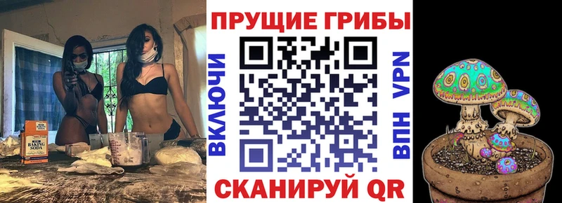 ссылка на мегу зеркало  Харабали  Галлюциногенные грибы Psilocybe 